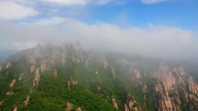 韩国石山/江原道公翎岭(恐龙岭)云海视频素材