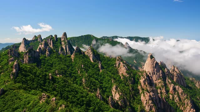 韩国石山/江原道公翎岭(恐龙岭)云海视频素材