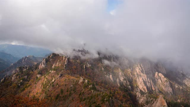 韩国Seoraksan山/江原道的公宁脊(恐龙脊)的秋天云海视频素材