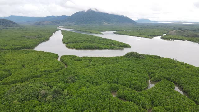 4k空中顶视图多莉河在红树林与多云的天空视频素材