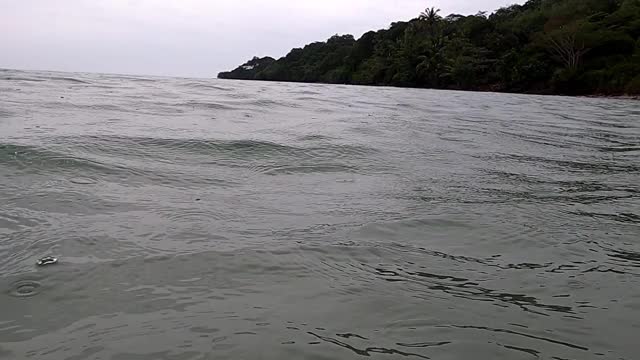 在热带岛屿上，小雨滴入平静的海水中。视频素材