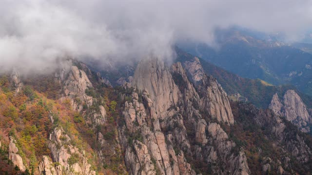 韩国Seoraksan山/江原道的公宁脊(恐龙脊)的秋天云海视频素材