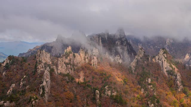 韩国Seoraksan山/江原道的公宁脊(恐龙脊)的秋天云海视频素材