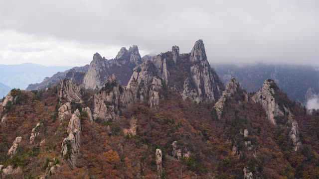 韩国Seoraksan山/江原道的公宁脊(恐龙脊)的秋天云海视频素材