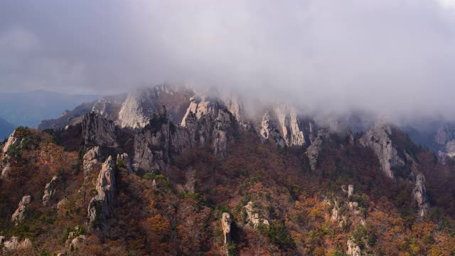 韩国Seoraksan山/江原道的公宁脊(恐龙脊)的秋天云海视频素材