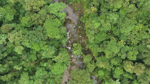 一个热带雨林的鸟瞰图，在一个大型管道从河的水从一个水站跟随一条小溪在中间视频素材