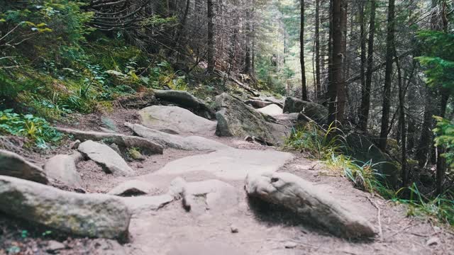 一名背包游客在森林中沿着石山步道攀登视频素材