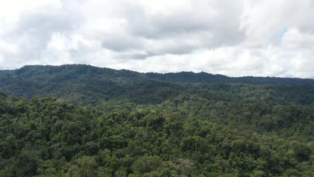 一架无人机在南美厄瓜多尔的亚马逊热带雨林中飞过一个多山的丘陵地区，该地区覆盖着许多不同类型的树木视频素材