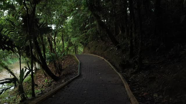 沿着一条被树木环绕的人行道，在一个阴沉沉、风雨交加的日子里，你沿着一条河走视频素材