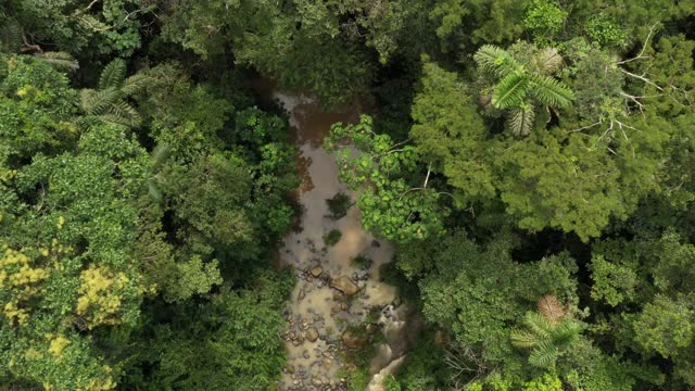 无人机在一个热带溪流上空飞行，缓慢上升，显示更多的热带雨林，是围绕着溪流视频素材