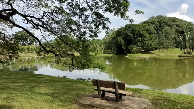 太平湖花园的景色视频素材