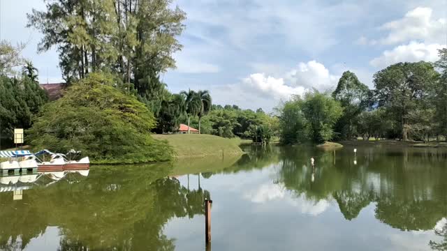 太平湖花园的景色视频素材