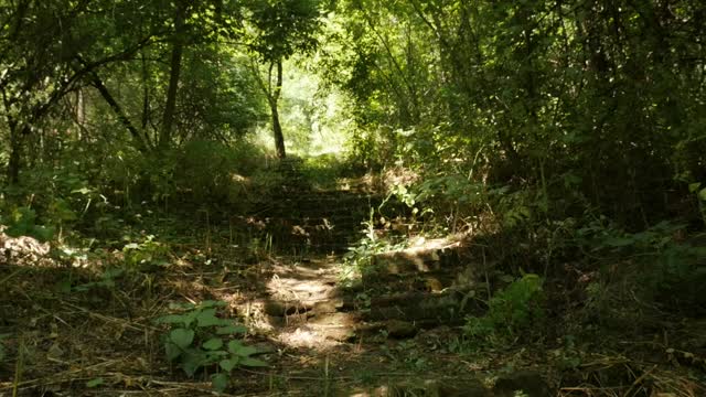 古石阶建立场景慢动作录像视频素材