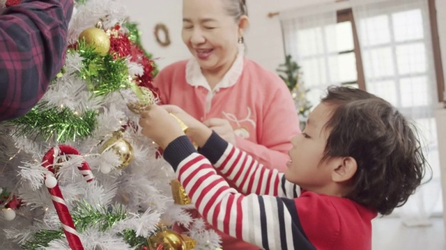 爷爷奶奶和孩子们准备和装饰圣诞树视频素材