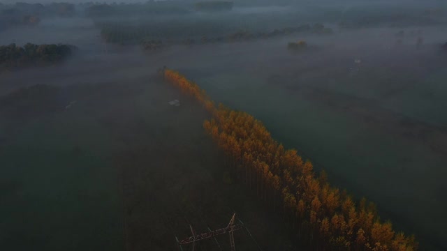 倾斜的相机揭示鸟瞰图缓慢漂浮的蒸汽在景观植被视频素材