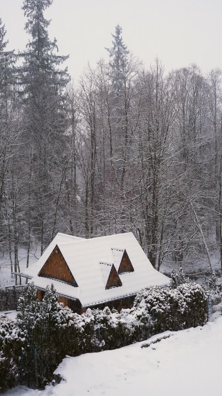 冬季降雪期间森林里的一间大房子。视频素材