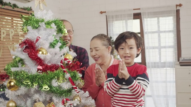 爷爷奶奶和孩子们准备和装饰圣诞树视频素材