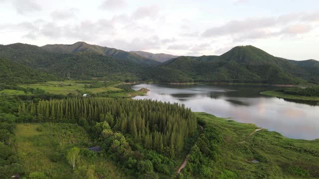 4k空中鸟瞰飞过松林、水库、湖泊和山景视频素材