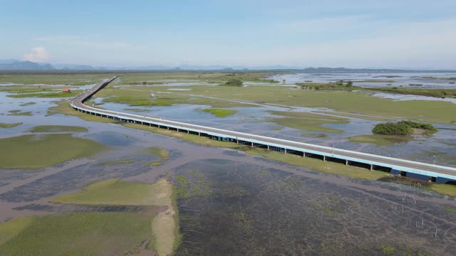 4k高空俯视图小车飞通过大桥横跨湿地视频素材