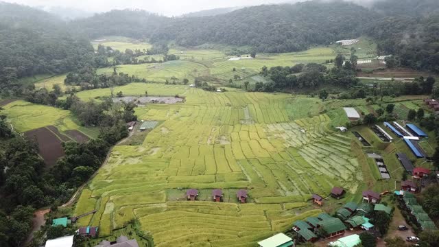 Ban Mae Klang Luang村鸟瞰图位于Doi Inthanon脚下的清迈。视频素材