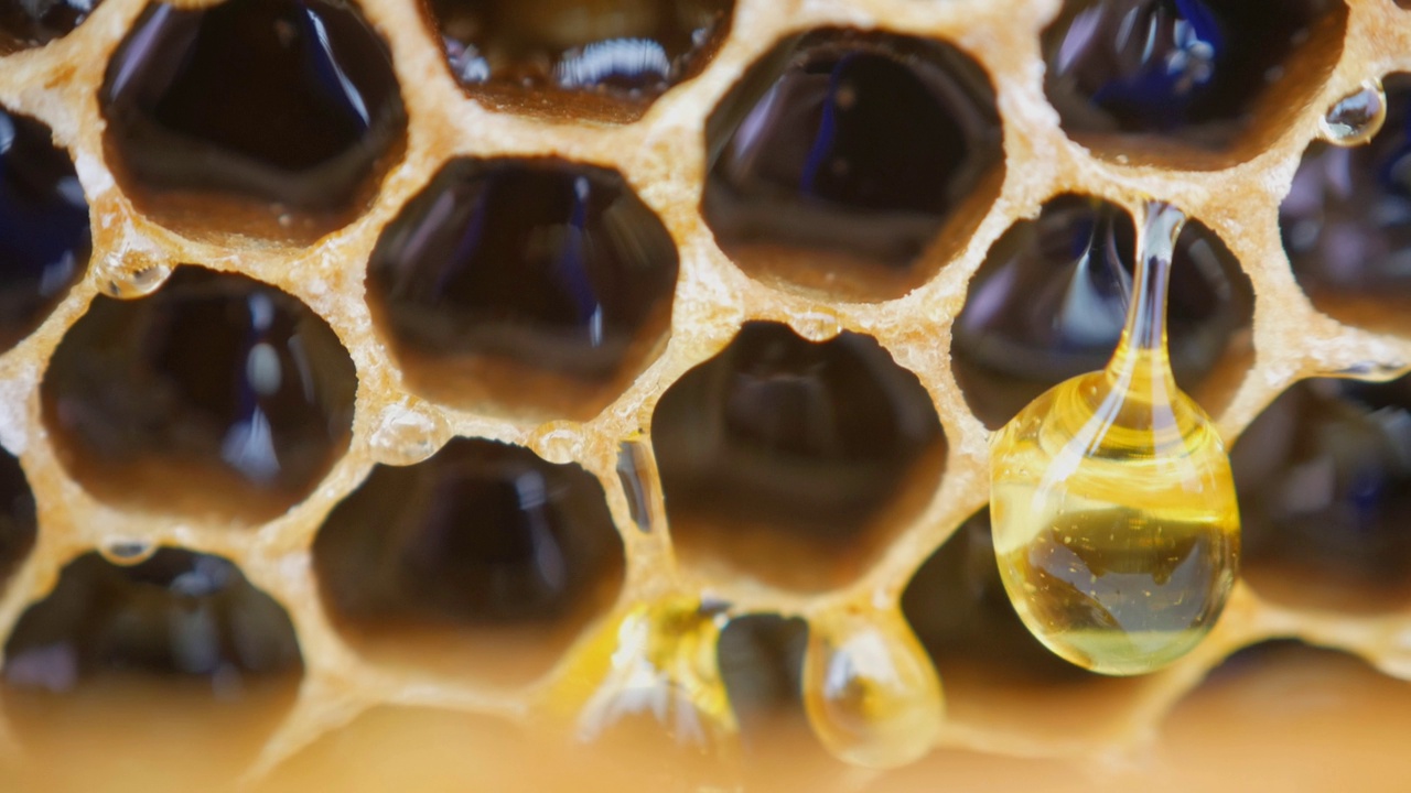 一滴蜂蜜顺着蜂房流下来。新鲜蜂蜜滴蜂房。视频下载