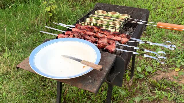 在烤架上烹煮肉类和蔬菜，诱人的烤猪肉串串在烤肉串上烹调，在夏天露天，煤烟正在冒烟，烤肉串烧烤派对视频素材