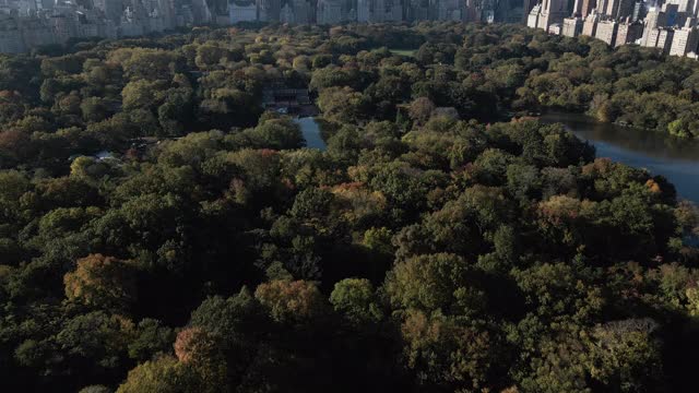 鸟瞰图的纽约市中央公园在一个秋天的早晨视频素材