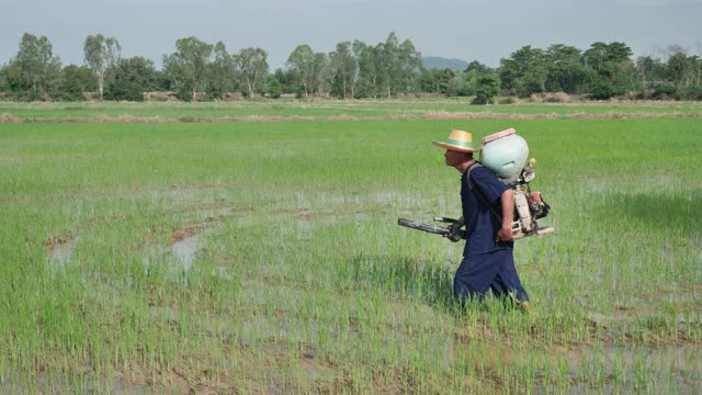 年长的亚洲农民正在用肥料喷雾器施肥视频素材