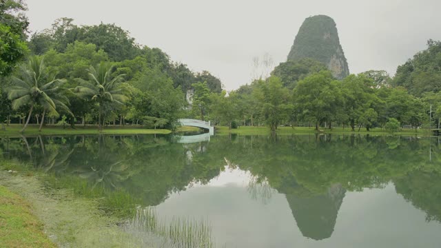 公园的自然景观和郁郁葱葱的观叶植物在早晨。视频素材