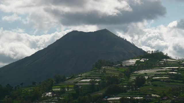 阳光明媚的一天，巴厘岛著名的火山地区，水稻梯田，山田，全景4k印尼视频素材