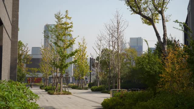 阳光明媚的一天杭州城市现代滨江镇公园慢镜头全景4k中国视频素材