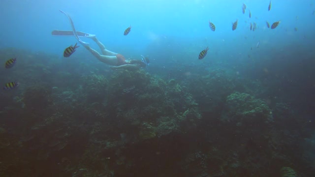 女人们在海底珊瑚礁周围自由潜水视频素材