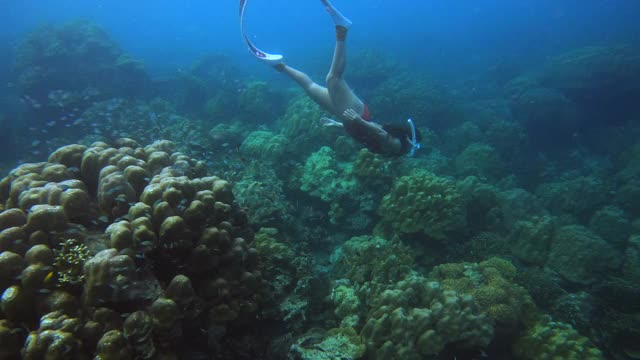 女人们在海底珊瑚礁周围自由潜水视频素材