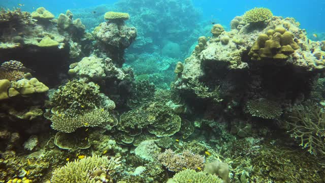 水下潜水的风景视频素材