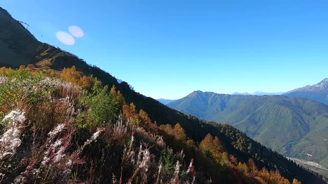 五彩斑斓的山景在秋天是金色的。美丽的秋景森林在群山中映衬着明亮的蓝天视频素材