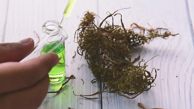 大麻研究大麻油视频素材