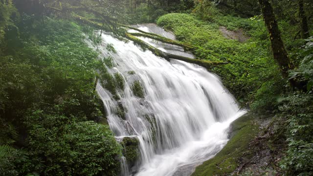 瀑布雨林视频素材