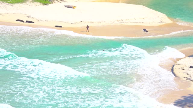 高品质泰国普吉岛海滩海。海滩海景和沙滩在夏天的阳光。海滩空间区域背景。泰国普吉岛的巴东海滩。在2020年10月。4K超高清视频剪辑视频素材