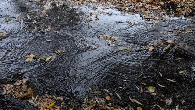 雨水在水坑里流过城市的道路和人行道。秋雨过后，雨水随着落叶流淌在路上。雨点落在沥青路面上。视频素材