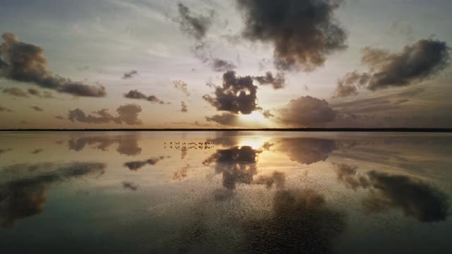 鸟瞰图的海岸泻湖日出与火烈鸟。视频素材