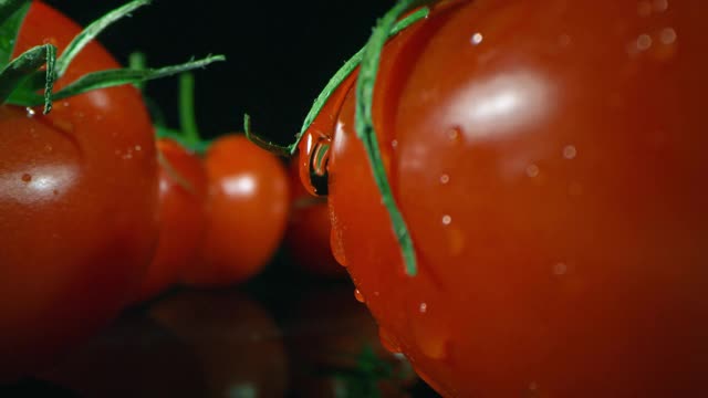 水滴从成熟的番茄视频素材