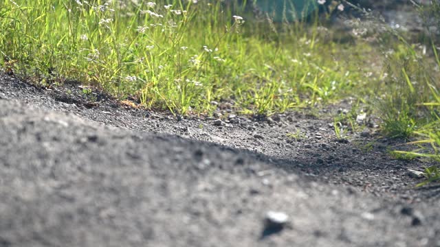 在自行车下坡时刹车。骑山地车的人在骑自行车时用急刹车。男性山地摩托车近景自行车车轮和轮胎。阳光明媚的夏天的一天。缓慢的运动。低角度。特写镜头视频素材