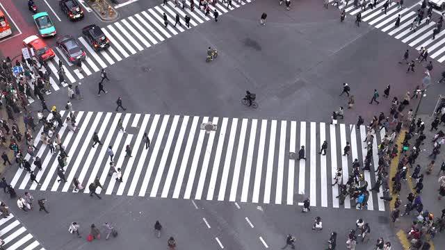 慢镜头鸟瞰图行人拥挤在涉谷日本东京视频素材