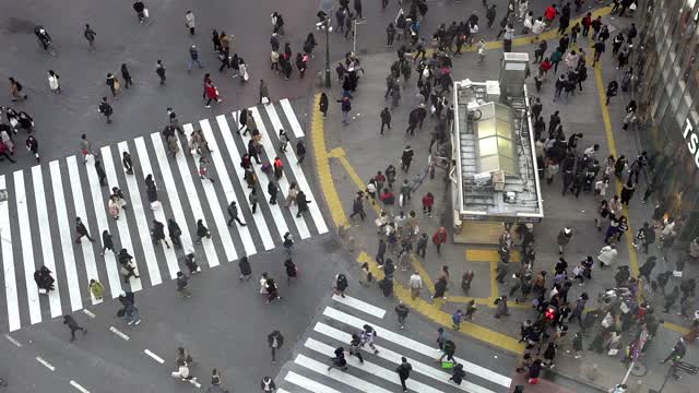 慢镜头鸟瞰图行人拥挤在涉谷日本东京视频素材