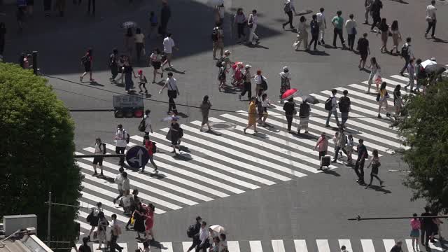 慢镜头鸟瞰图行人拥挤在涉谷日本东京视频素材