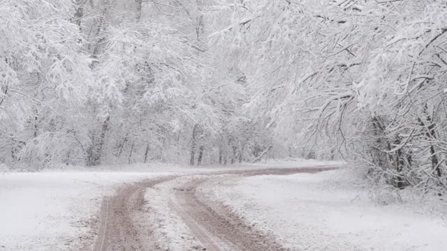 冬天森林里的慢镜头降雪视频素材