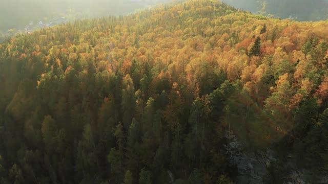 秋色山林，鸟瞰图视频素材