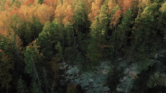 秋色山林，鸟瞰图视频素材