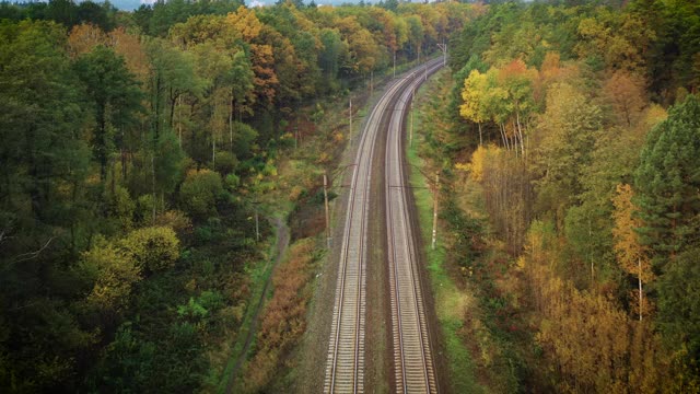一列货运火车穿过秋天的森林视频素材