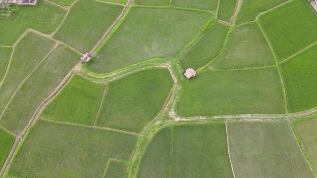 山田梯田鸟瞰图视频素材